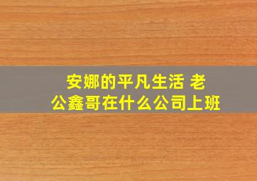 安娜的平凡生活 老公鑫哥在什么公司上班